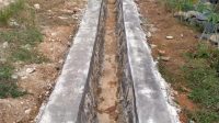 IMG-20201104-WA0086