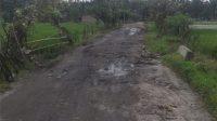 IMG-20210120-WA0140